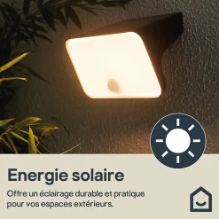 Applique murale solaire LED extérieur noir 900 lm détecteur de mouvement IP54, GoodHome Wendland