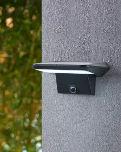 Applique murale solaire Porrassa LED intégrée 800 lms IP44 Eglo noir