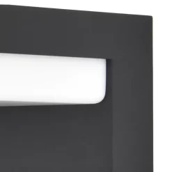 Applique murale solaire rectangulaire Woodruff 300 lms IP54 Goodhome noir