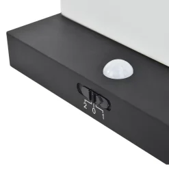 Applique murale solaire rectangulaire Woodruff 300 lms IP54 Goodhome noir