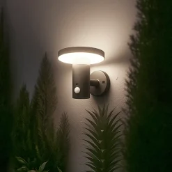 Applique Solaire 360 - Éclairage Constant et Détection - Pour Façade, Allée, Terrasse - Groupe DDC