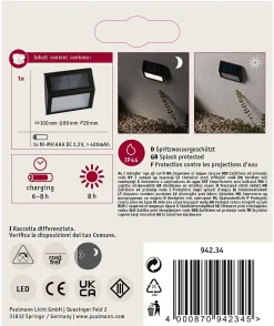 Applique Solaire Extérieure Paulmann 94234 Dayton - Éclairage LED Anthracite