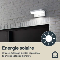 Applique solaire LED extérieur blanche 650 lm blanc froid IP54 détecteur de mouvement, GoodHome Woodruff