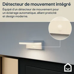 Applique solaire LED extérieur blanche 650 lm blanc froid IP54 détecteur de mouvement, GoodHome Woodruff