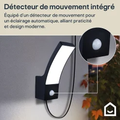 Applique solaire LED extérieur gris 700 lm blanc froid IP44 détecteur de mouvement, GoodHome Gambell