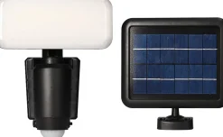 Arlux Lighting Projecteur Solaire POLARIS 8W 500lm - Detecteur de Mouvement