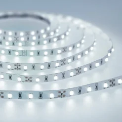 Bande LED 21,6 W 6500 K blanc froid (CW) dimmable 900lm IP56 12 V DC rouleau 5 m Sekro PRO EDO