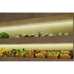 Bande LED pour éclairer le comptoir fruits et légumes Bobine 5m 14,4W/M 90LM/W IP20 5000K