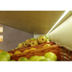 Bande LED pour éclairer le comptoir fruits et légumes Bobine 5m 14,4W/M 90LM/W IP20 5000K