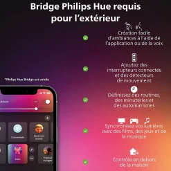 Bande lumineuse extérieur Philips Hue IP67 1490lm 5m