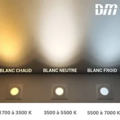 Borne lumineuse BENS P Indigo - 6W - 3000K - IP54 - Anthracite