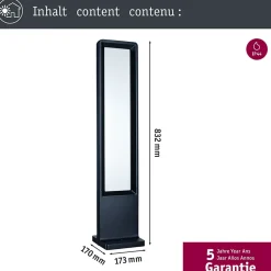 Borne lumineuse LED Reana IP44 carré 832mm 3000K 2x4W 2x240lm 230V Anthracite Métal