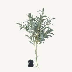 Branches lumineuses d'olivier à piles - Chromex