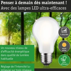 Eco-Line Filament 230 V Ampoule LED E27 Luminaire individuel 1521lm 8,2W 3000K gradable Dépoli