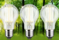 Eco-Line Filament 230 V Ampoule LED E27 Kit de 3 1055lm 5W 3000K Clair