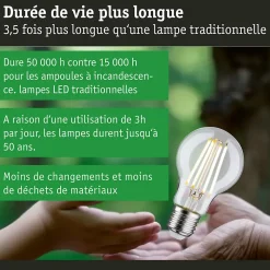 Eco-Line Filament 230 V Ampoule LED E27 Kit de 3 3x840lm 3x4W 3000K Clair