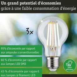 Eco-Line Filament 230 V Ampoule LED E27 Kit de 3 3x840lm 3x4W 3000K Clair