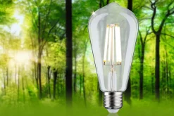 Eco-Line Filament 230 V Ampoules LED ST64 E27 840lm 4W 3000K Clair