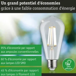 Eco-Line Filament 230 V Ampoules LED ST64 E27 840lm 4W 3000K Clair