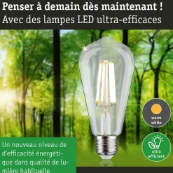 Eco-Line Filament 230 V Ampoules LED ST64 E27 840lm 4W 4000K Clair