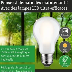 Eco-Line Filament 230 V Ampoule LED E27 Luminaire individuel 1055lm 5,7W 3000K gradable Dépoli