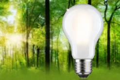 Eco-Line Filament 230 V Ampoule LED E27 Luminaire individuel 1055lm 5,7W 3000K gradable Dépoli