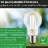 Eco-Line Filament 230 V Ampoule LED E27 Luminaire individuel 1521lm 8,2W 3000K gradable Clair