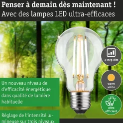 Eco-Line Filament 230 V Ampoule LED E27 Luminaire individuel 1521lm 8,2W 3000K gradable Clair