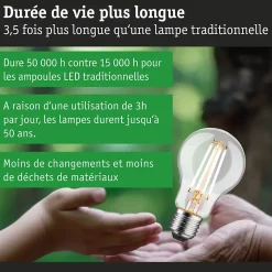 Eco-Line Filament 230 V Ampoule LED E27 Luminaire individuel 1521lm 8,2W 3000K gradable Clair