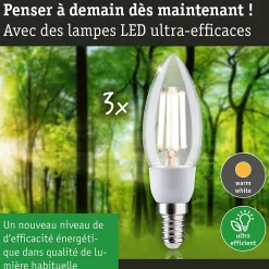 Eco-Line Filament 230 V Bougie LED E14 3x525lm 3x2,5W 3000K Clair