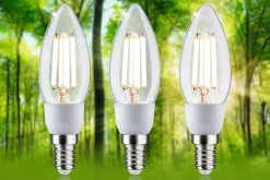 Eco-Line Filament 230 V Bougie LED E14 3x525lm 3x2,5W 3000K Clair