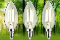 Eco-Line Filament 230 V Bougie LED E14 525lm 2,5W 3000K Clair