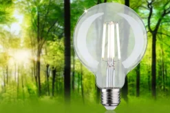 Eco-Line Filament 230 V Globe LED G95 E27 840lm 4W 4000K Clair