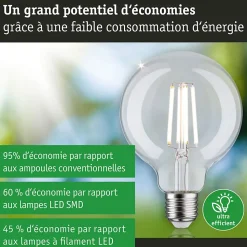 Eco-Line Filament 230 V Globe LED G95 E27 840lm 4W 4000K Clair