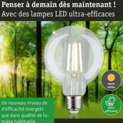Eco-Line Filament 230 V Globe LED G95 E27 840lm 4W 3000K Clair