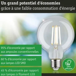 Eco-Line Filament 230 V Globe LED G95 E27 840lm 4W 3000K Clair