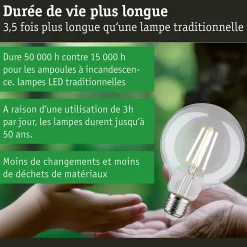 Eco-Line Filament 230 V Globe LED G95 E27 840lm 4W 3000K Clair