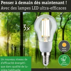 Eco-Line Filament 230 V Sphérique LED E14 Kit de 3 100mm 3x525lm 3x2,5W 3000K Clair