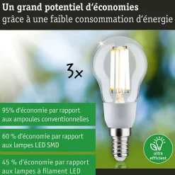 Eco-Line Filament 230 V Sphérique LED E14 Kit de 3 100mm 3x525lm 3x2,5W 3000K Clair