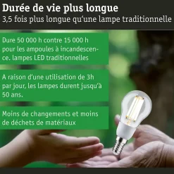 Eco-Line Filament 230 V Sphérique LED E14 Kit de 3 100mm 3x525lm 3x2,5W 3000K Clair