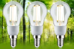 Eco-Line Filament 230 V Sphérique LED E14 Kit de 3 100mm 3x525lm 3x2,5W 3000K Clair