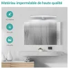 EMKE Applique murale LED pour salle de bain, 40 x 15 cm, 6000 K, blanc, 3 méthodes d'installation