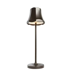 Ensemble de 2 lampes de table rétro bronze foncé rechargeables IP44 - Granny