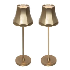 Ensemble de 2 lampes de table rétro or rose rechargeables IP44 - Granny