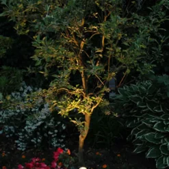 Ensemble de 5 spots encastrés en acier IP65 - Basic Square