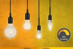 Filament 230 V Globe LED G95 E27 806lm 7W Dim to warm gradable Clair