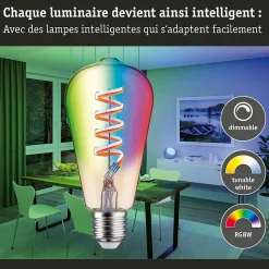 Filament 230 V Smart Home Zigbee 3.0 Ampoules LED ST64 E27 470lm 6,3W RGBW+ gradable Doré