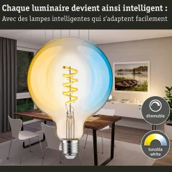 Filament 230 V Smart Home Zigbee 3.0 Globe LED G125 E27 600lm 7,5W Tunable White gradable Doré
