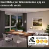 Filament 230 V Smart Home Zigbee 3.0 Ampoule LED E27 600lm 7,5W Tunable White gradable Doré