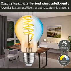 Filament 230 V Smart Home Zigbee 3.0 Ampoule LED E27 600lm 7,5W Tunable White gradable Doré